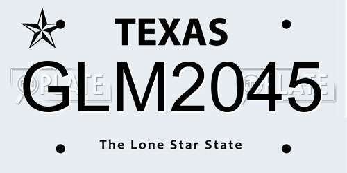 GLM2045 Texas License Plate