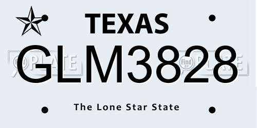 GLM3828 Texas License Plate
