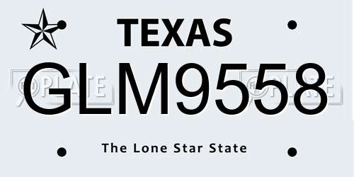 GLM9558 Texas License Plate