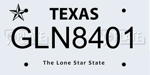 GLN8401 Texas License Plate