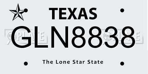 GLN8838 Texas License Plate