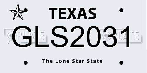 GLS2031 Texas License Plate