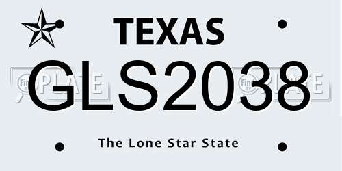 GLS2038 Texas License Plate
