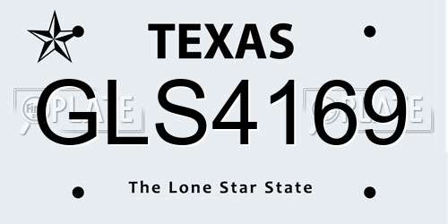 GLS4169 Texas License Plate
