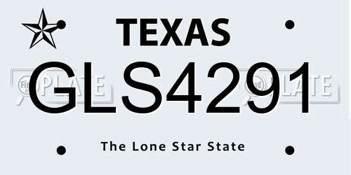 GLS4291 Texas License Plate