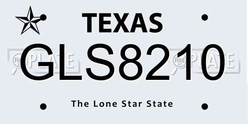 GLS8210 Texas License Plate