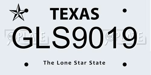 GLS9019 Texas License Plate