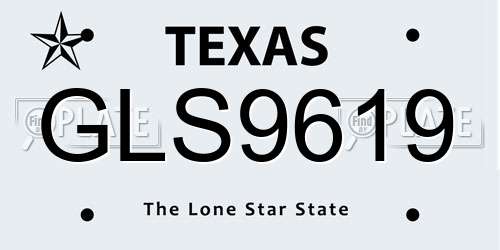 GLS9619 Texas License Plate