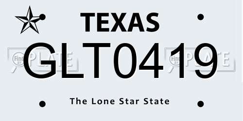 GLT0419 Texas License Plate
