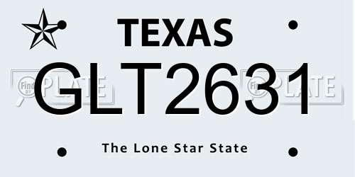 GLT2631 Texas License Plate