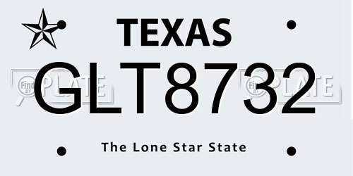 GLT8732 Texas License Plate