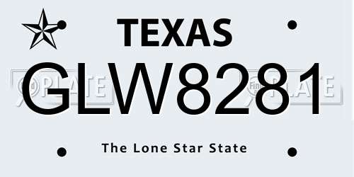 GLW8281 Texas License Plate