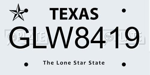 GLW8419 Texas License Plate