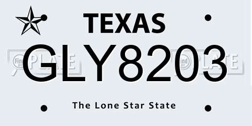GLY8203 Texas License Plate