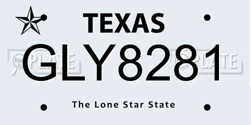 GLY8281 Texas License Plate