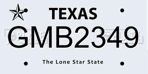 GMB2349 Texas License Plate