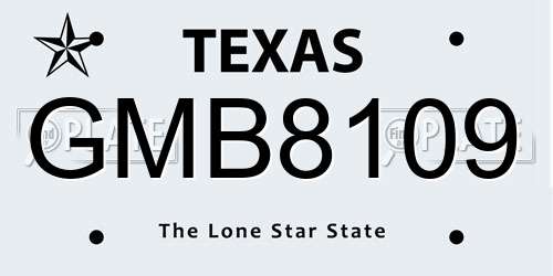 GMB8109 Texas License Plate