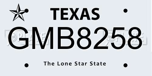 GMB8258 Texas License Plate