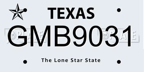GMB9031 Texas License Plate