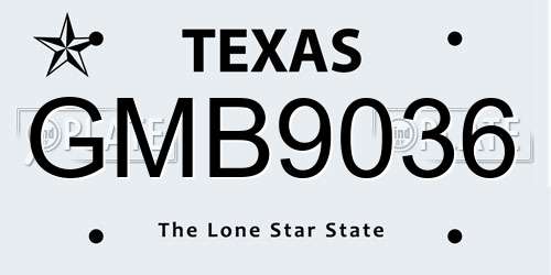GMB9036 Texas License Plate