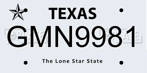 GMN9981 Texas License Plate