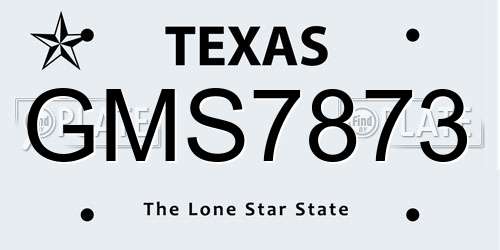 GMS7873 Texas License Plate