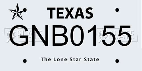 GNB0155 Texas License Plate