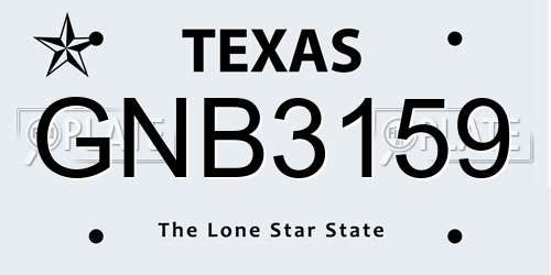 GNB3159 Texas License Plate