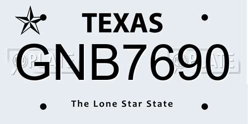 GNB7690 Texas License Plate