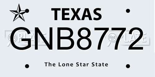 GNB8772 Texas License Plate
