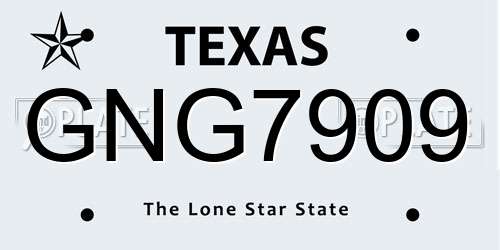 GNG7909 Texas License Plate