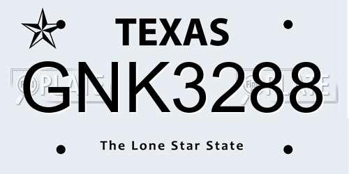 GNK3288 Texas License Plate
