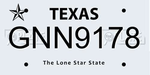 GNN9178 Texas License Plate