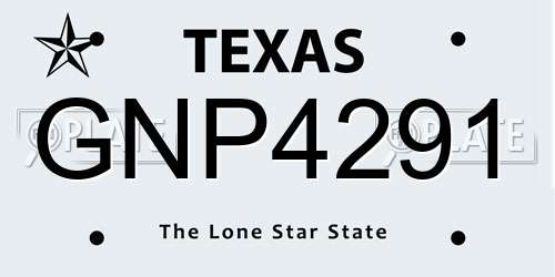 GNP4291 Texas License Plate