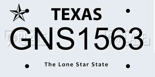 GNS1563 Texas License Plate