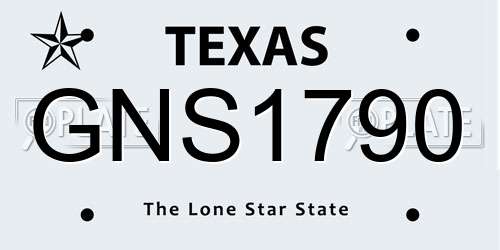GNS1790 Texas License Plate