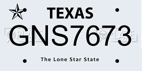 GNS7673 Texas License Plate