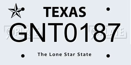 GNT0187 Texas License Plate