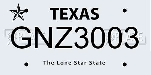 GNZ3003 Texas License Plate