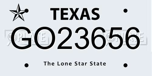 GO23656 Texas License Plate