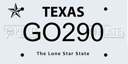 GO290 Texas License Plate