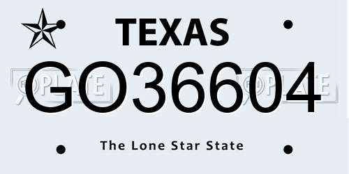 GO36604 Texas License Plate