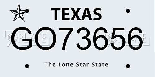 GO73656 Texas License Plate