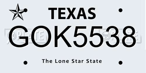 GOK5538 Texas License Plate