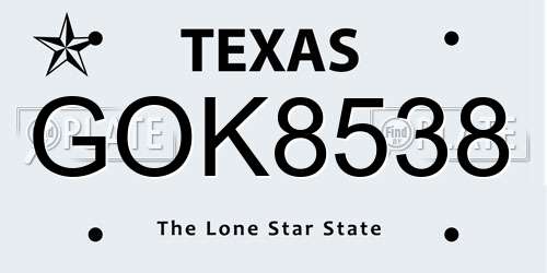GOK8538 Texas License Plate