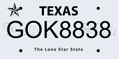 GOK8838 Texas License Plate