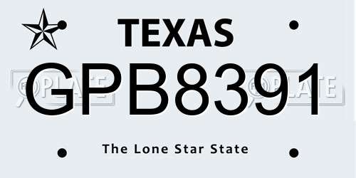 GPB8391 Texas License Plate