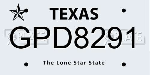 GPD8291 Texas License Plate