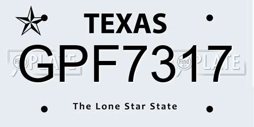 GPF7317 Texas License Plate