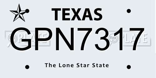 GPN7317 Texas License Plate